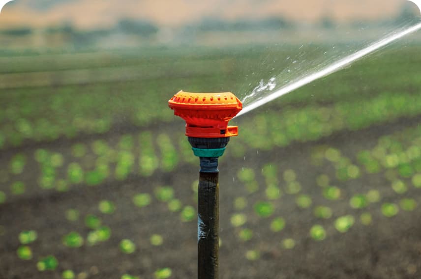 Imagen de un sistema de riego en un campo de cultivo